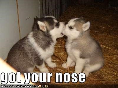 got-your-nose
